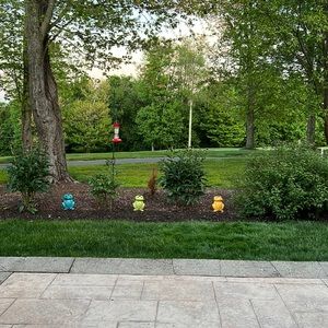 Meet your Posher, Debbie